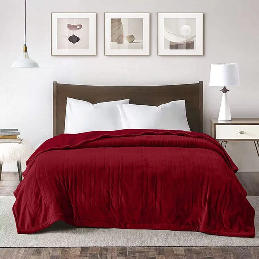Heated Blanket Queen Size, Heating Electric Throw Blanket Dual Control, Soft Velvet, 10 Heat Settings, 12 Hours Auto Off, Red